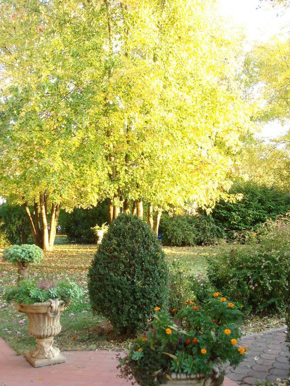 La Corte Del Cavaliere Bed & Breakfast Calderara di Reno Bagian luar foto